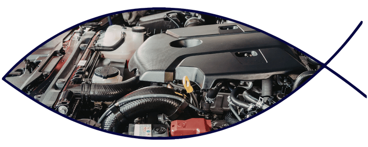 Engine bay electrical components and wiring system