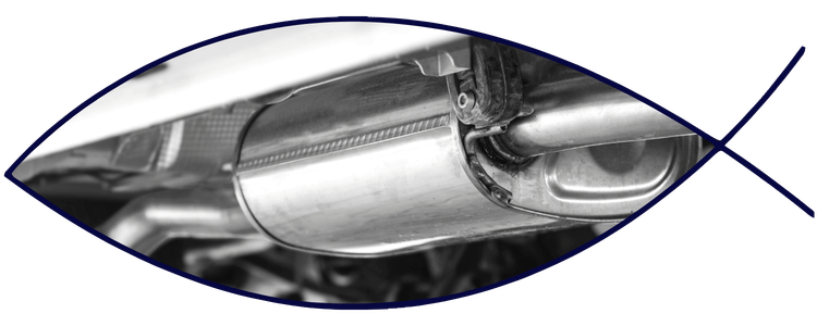 Exhaust system and muffler underside view