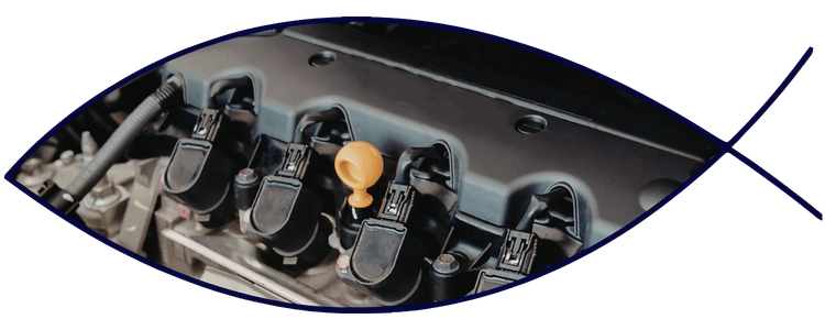 Ignition coils and fuel system components in engine