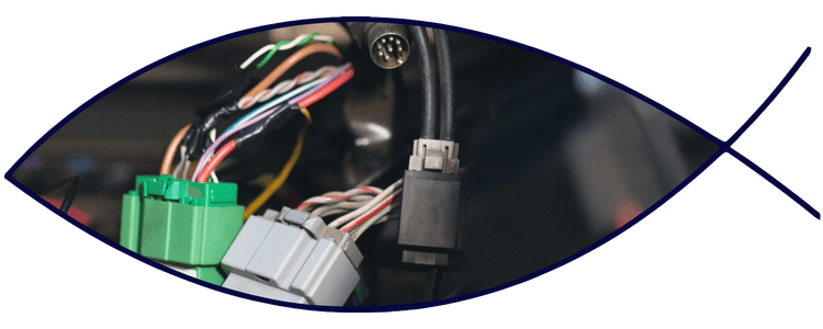 Automotive wiring harness and electrical connectors
