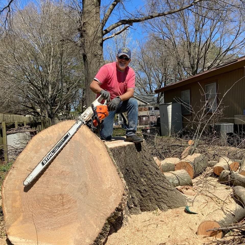 Man using a chainsaw to cut a large tree stump in a yard