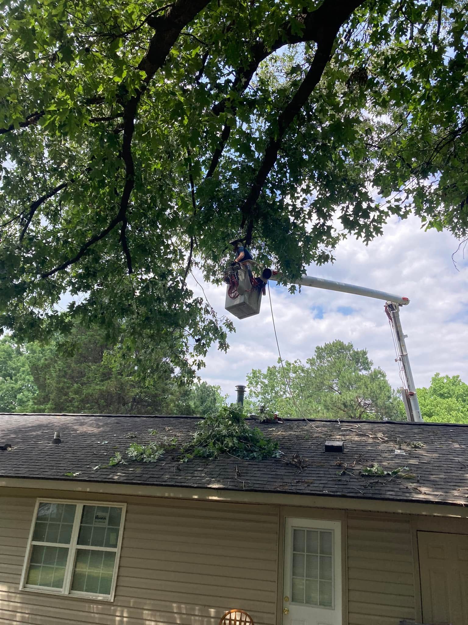 Tree worker in a bucket lift trimming branches over a house roof under a leafy canopy