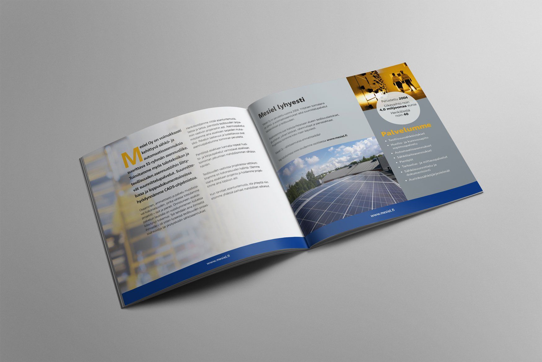 Mesiel brochure