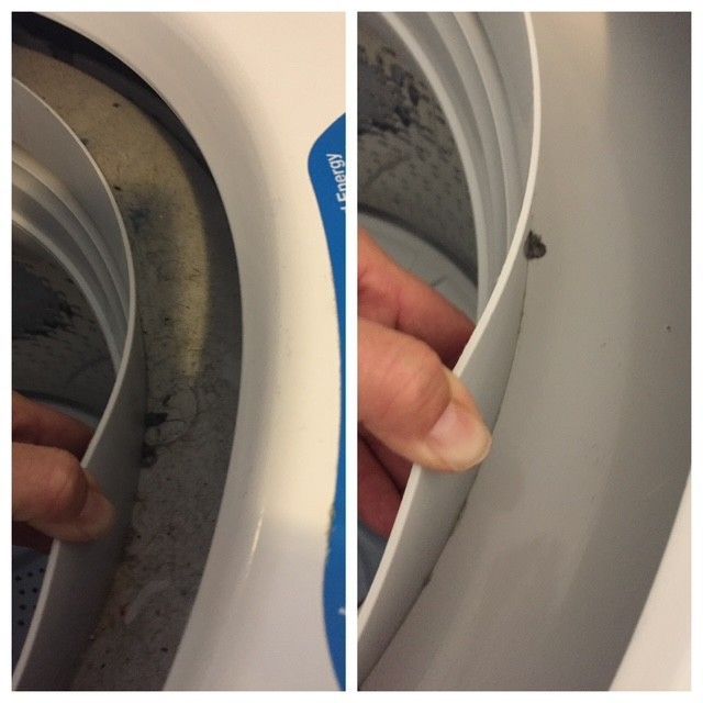 Hands peeling back a white appliance seal to reveal mold buildup inside