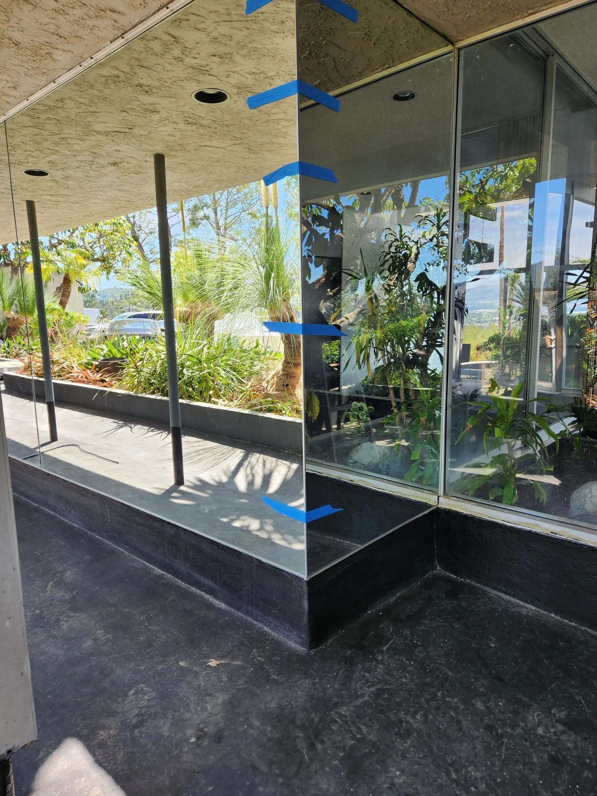 Glass storefront corner with reflective windows, black base, and trees visible outside
