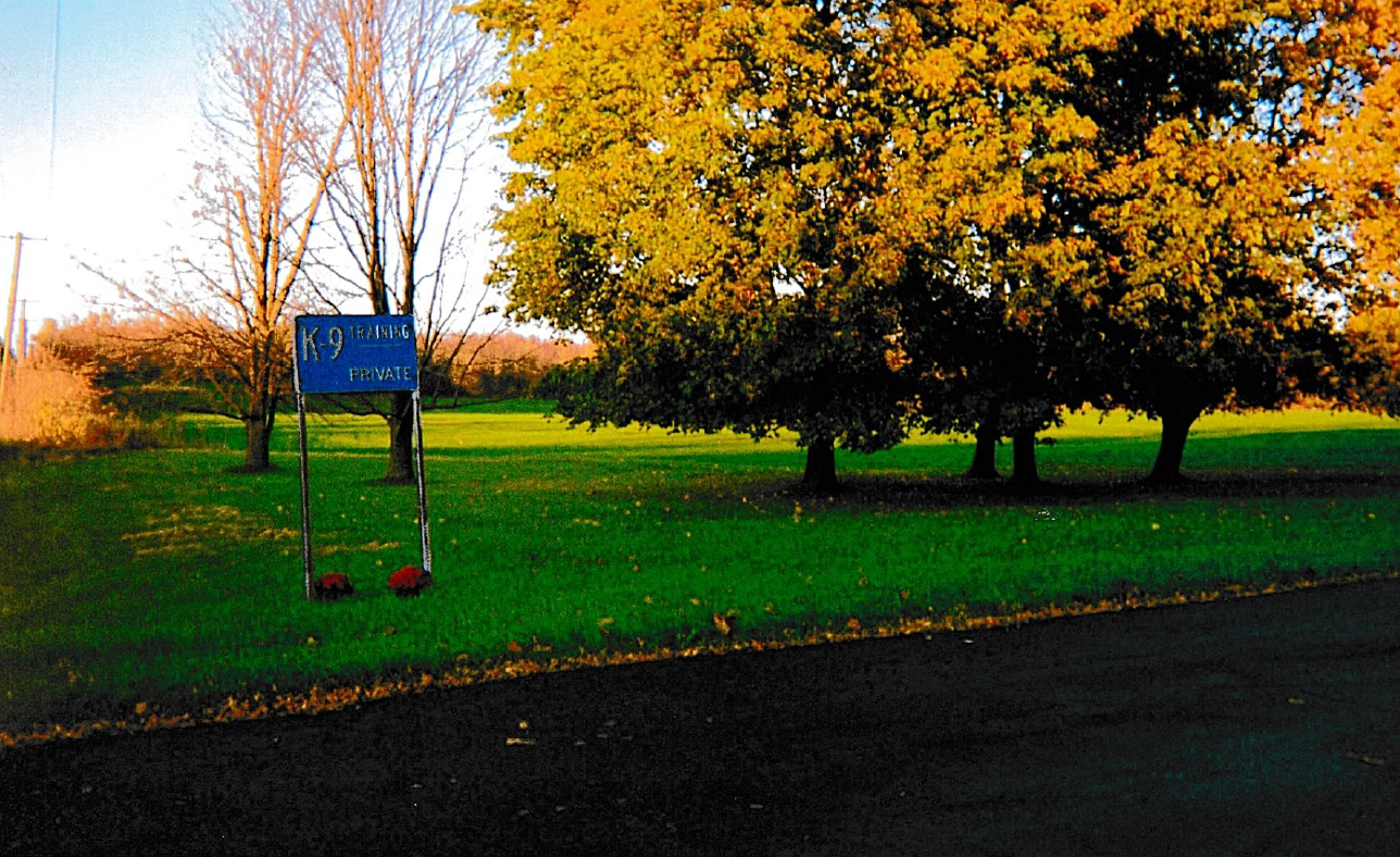 Signage — Hilton, NY — K-9 Boarding Kennels