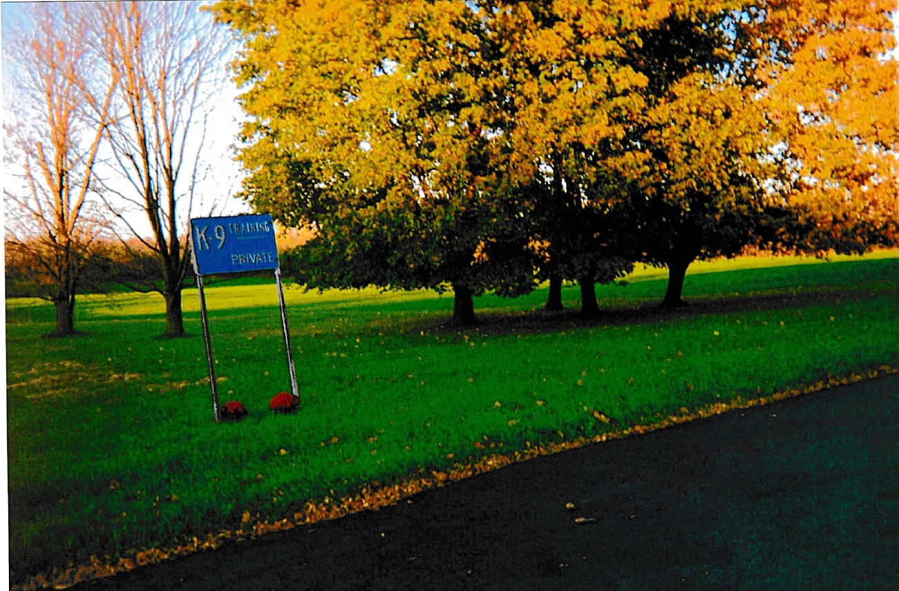 Trees— Hilton, NY — K-9 Boarding Kennels