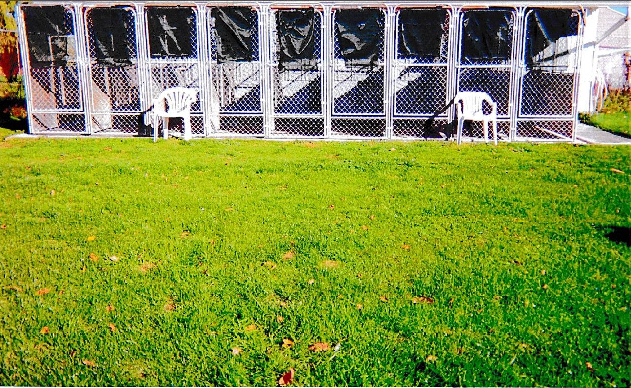 White Kennel — Hilton, NY — K-9 Boarding Kennels