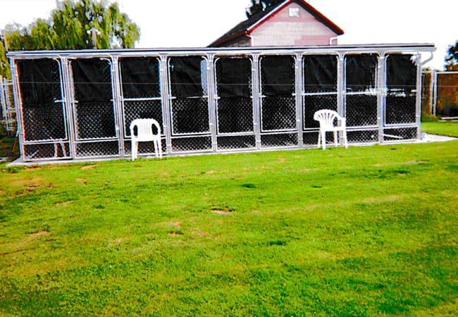 Dog Boarding Exterior — Hilton, NY — K-9 Boarding Kennels