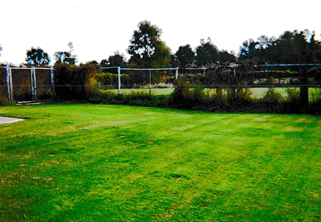 Dog Play Yard — Hilton, NY — K-9 Boarding Kennels Dog Play Yard — Hilton, NY — K-9 Boarding Kennels