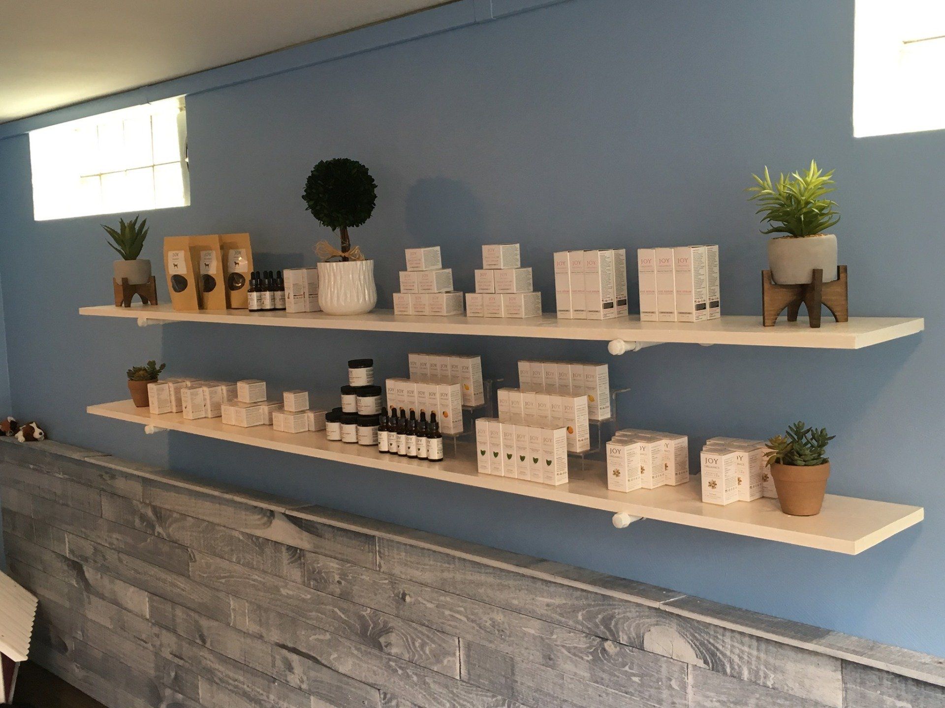 A shelf filled with a variety of cosmetics and plants.