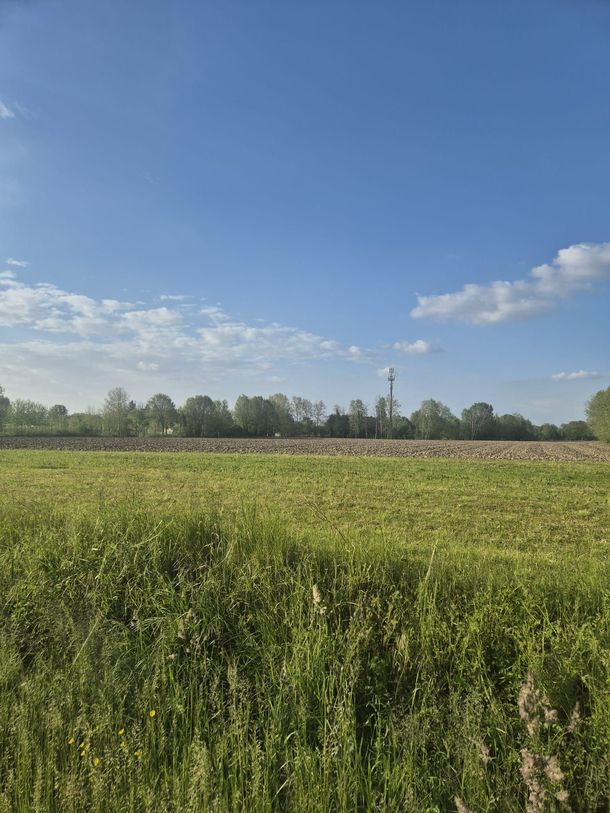Un prato sotto un cielo azzurro con nuvole sparse, alberi all'orizzonte e una turbina eolica in lontananza.