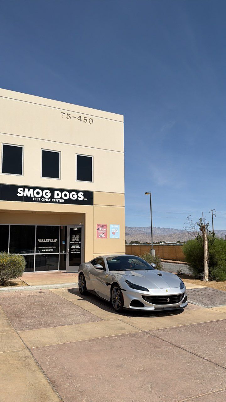 Silver sedan parked outside Smog Dogs auto shop on a sunny street.