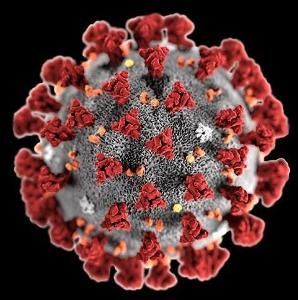 3D illustration of a coronavirus particle with red spike proteins on a gray sphere