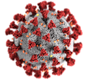 3D illustration of a gray coronavirus particle with red spike proteins on a white background