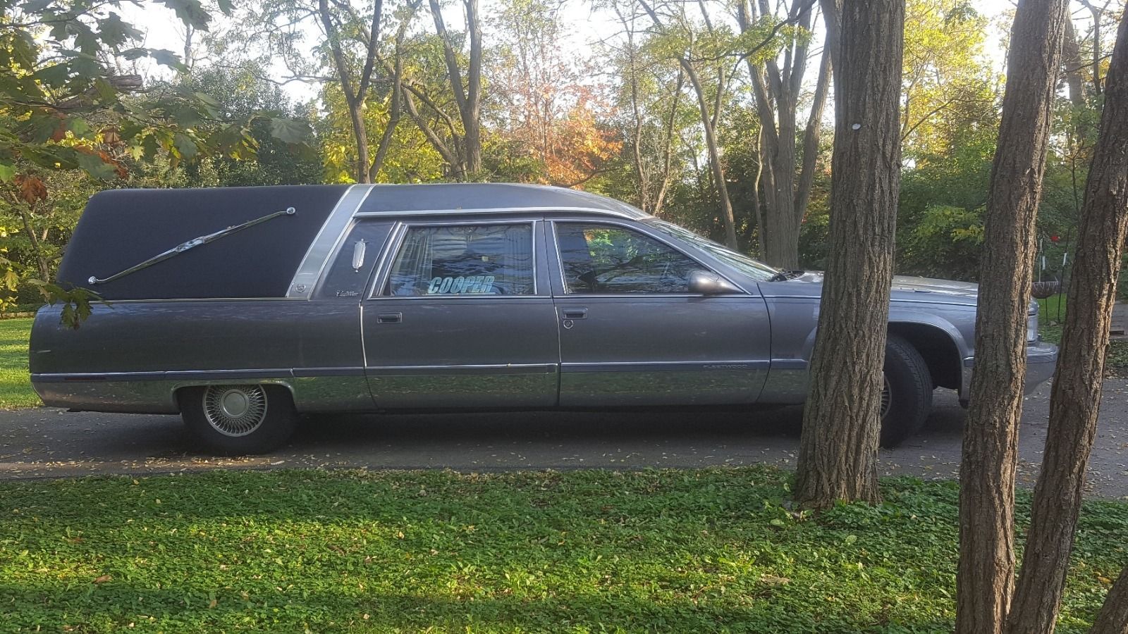 Dark hearse parked on grass beside trees in a wooded area