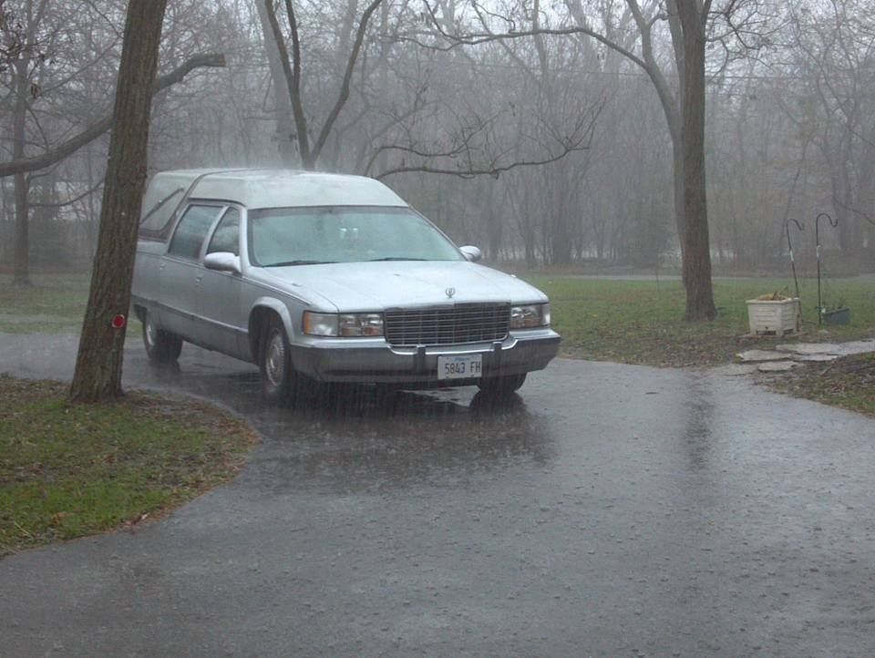 White van parked on a rainy road in a foggy park, with bare trees in the background