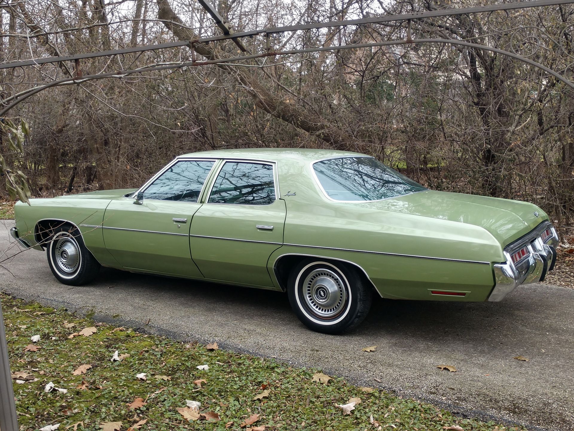 Light green vintage sedan parked on a wooded roadside in autumn.