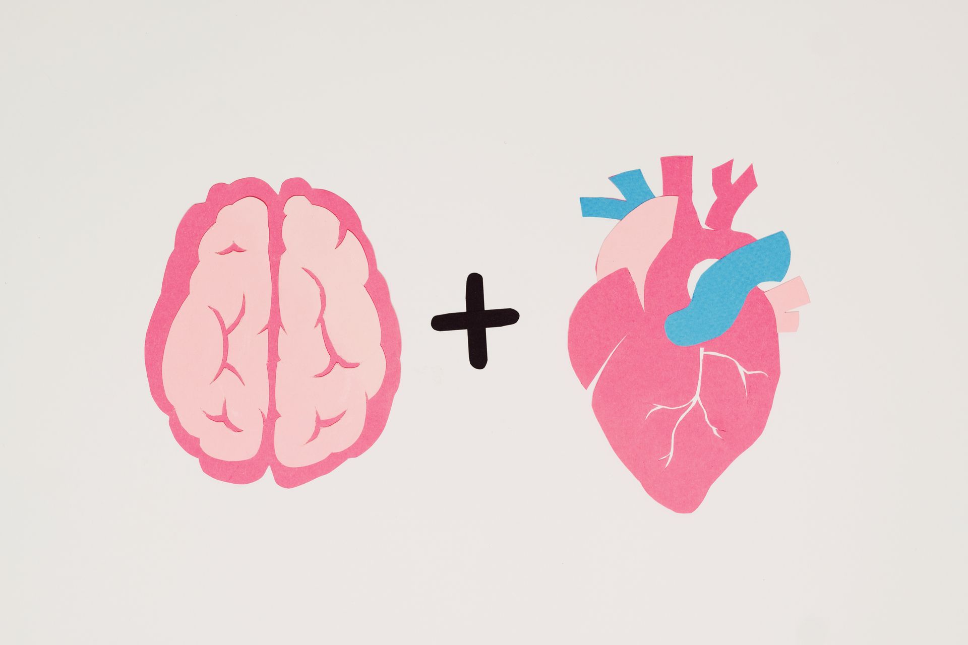 brain and heart symbol - Adult Therapy on Wurtulla, QLD