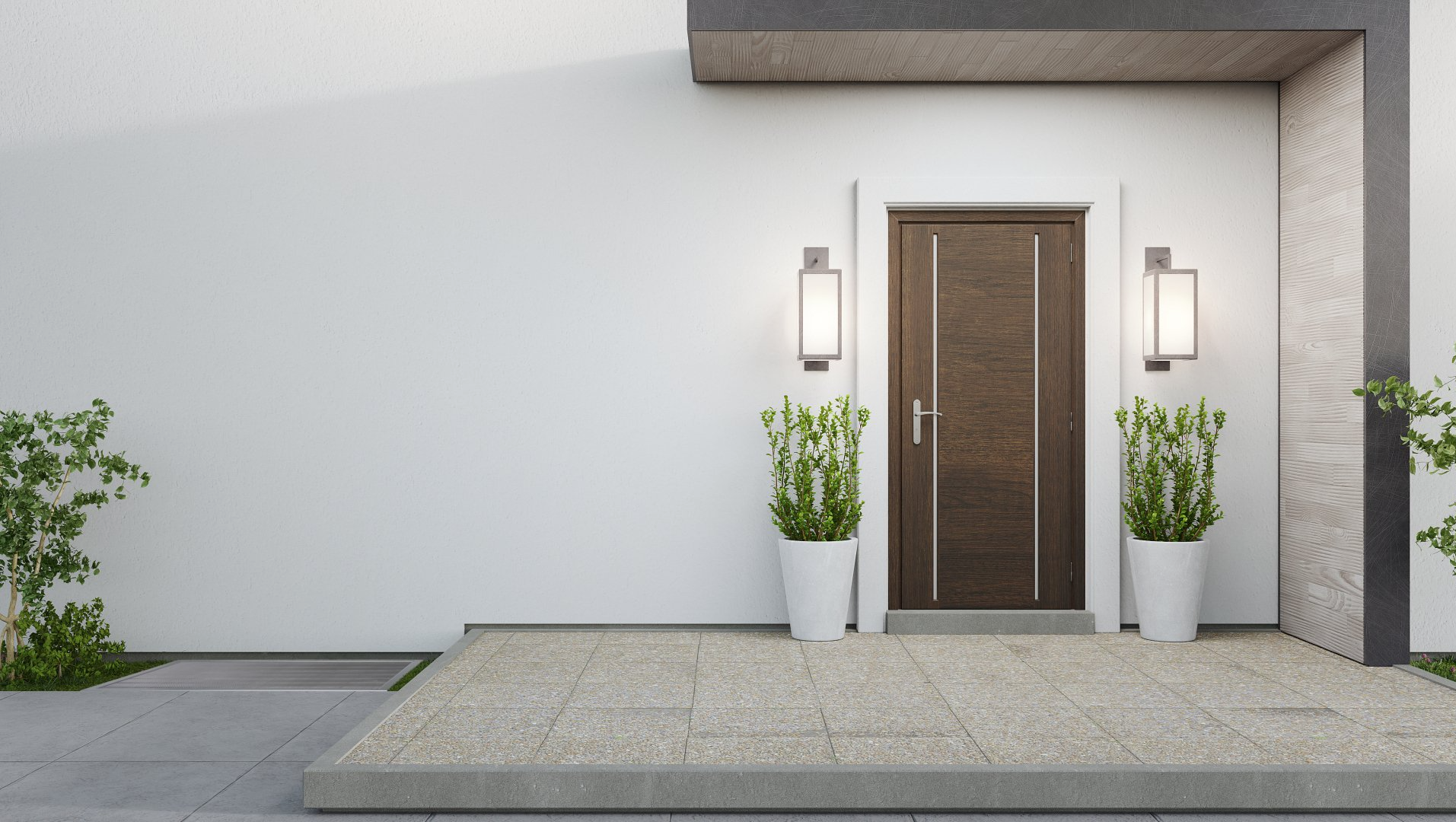 Une maison moderne avec une porte en bois et des plantes en pot devant.