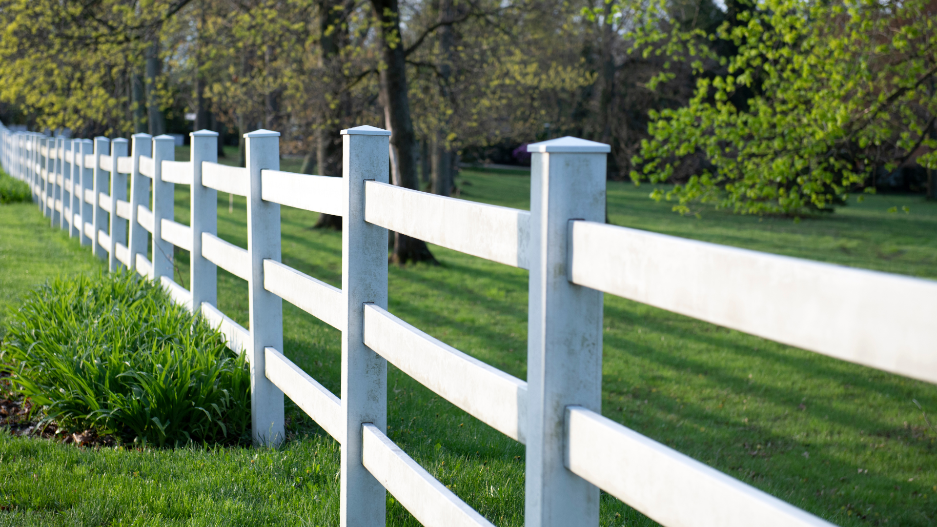 white fence