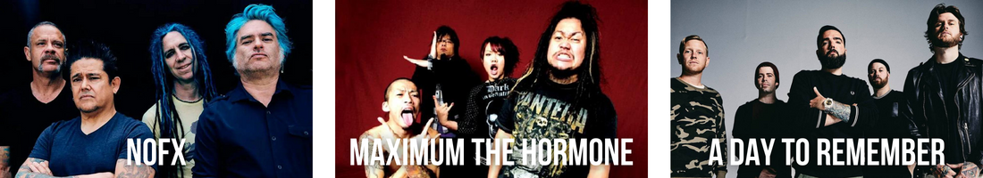 maximun the hormone band