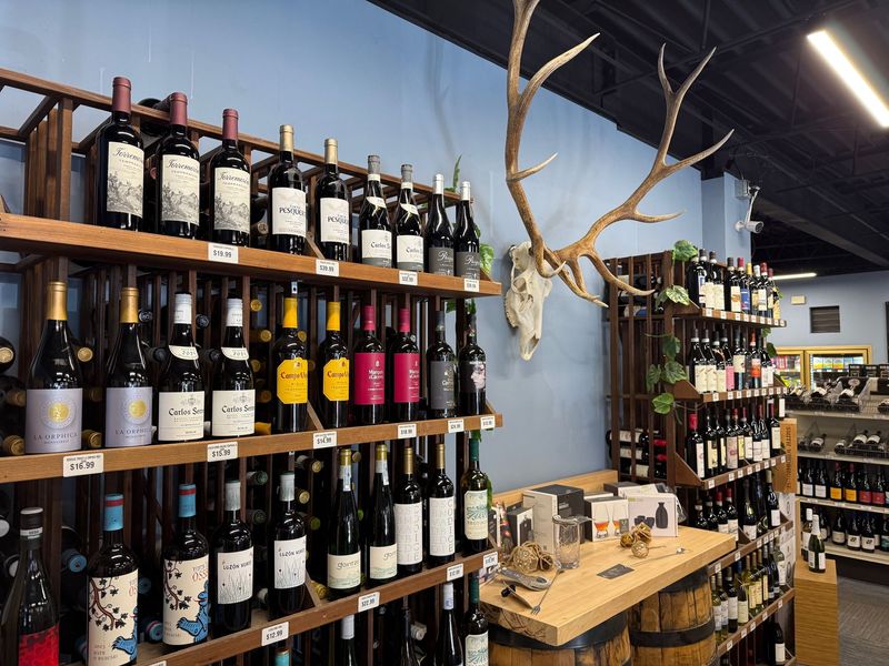 Wine racks and an elk antler mount on a blue wall in the shop