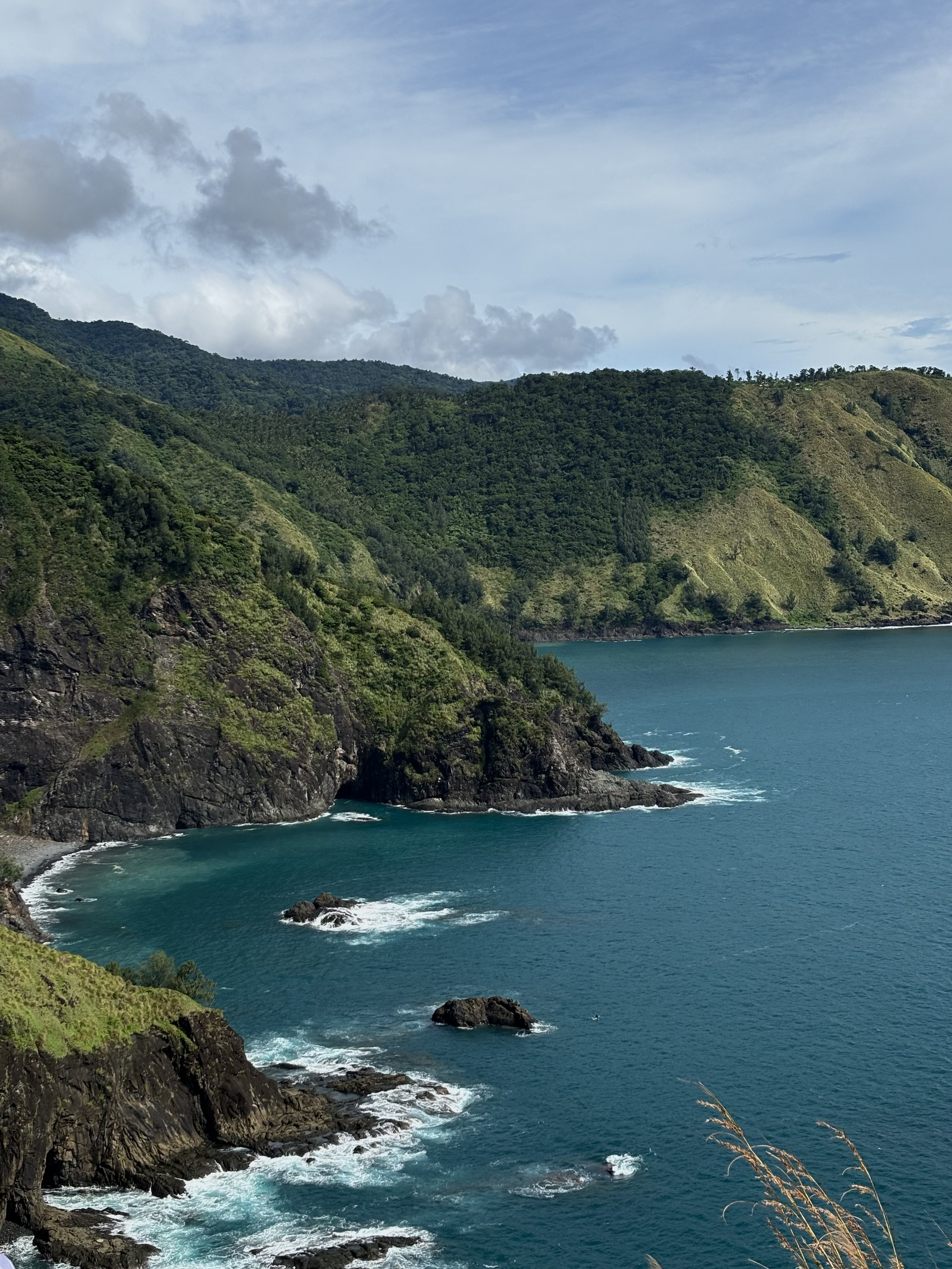 Coastal view with dark blue water, rocky cliffs, and green hills under a cloudy sky.