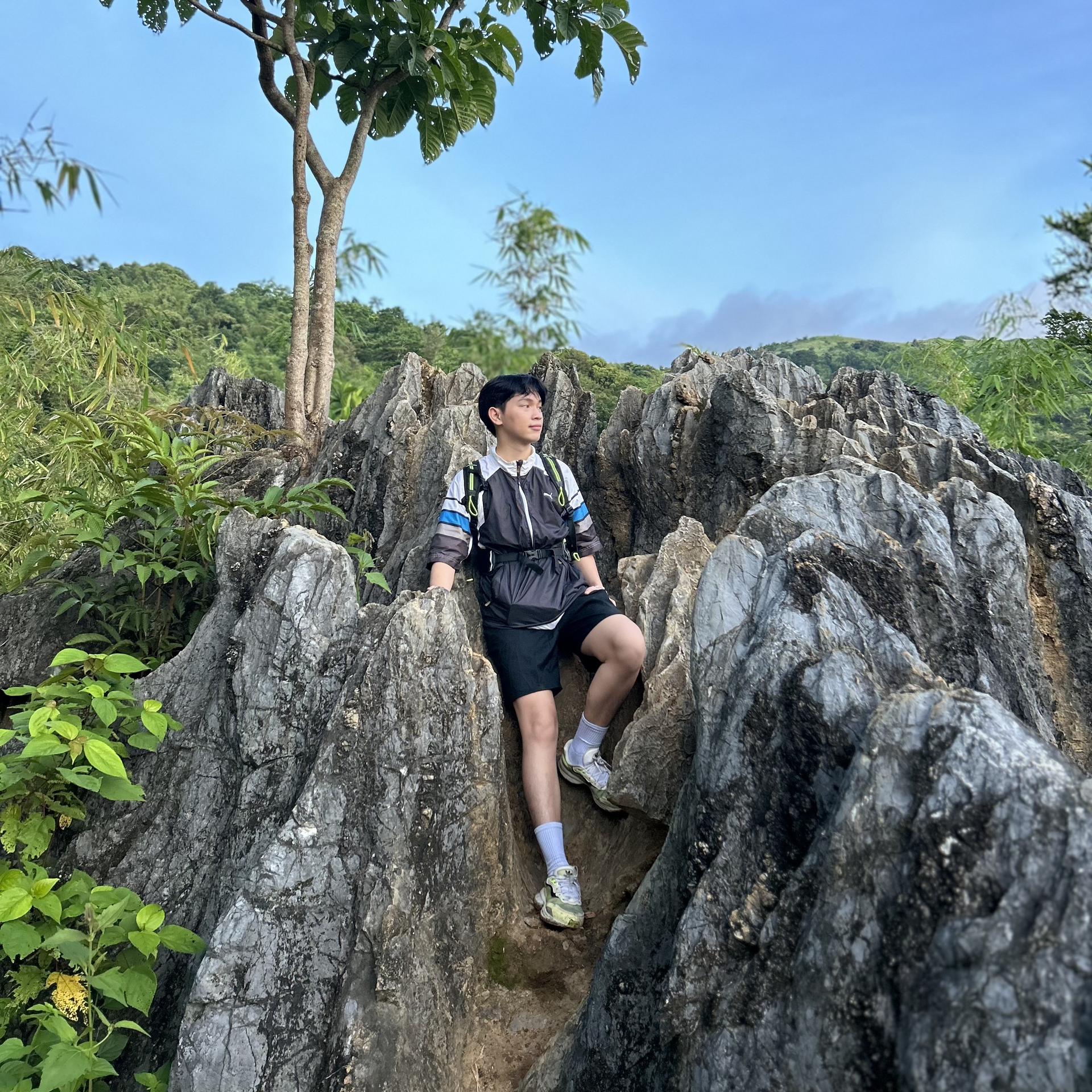 Person in black shorts and backpack standing on rocky terrain, looking up. Lush green background.