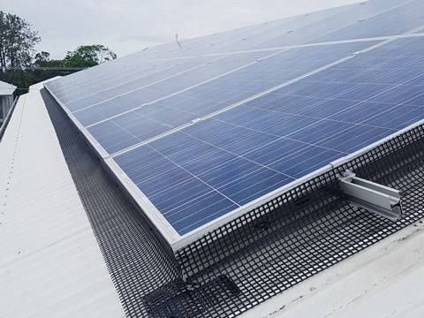 Solar Panel Bird Proofing