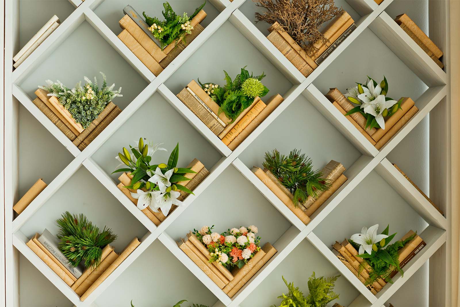 Display Shelving Installer On The Sunshine Coast