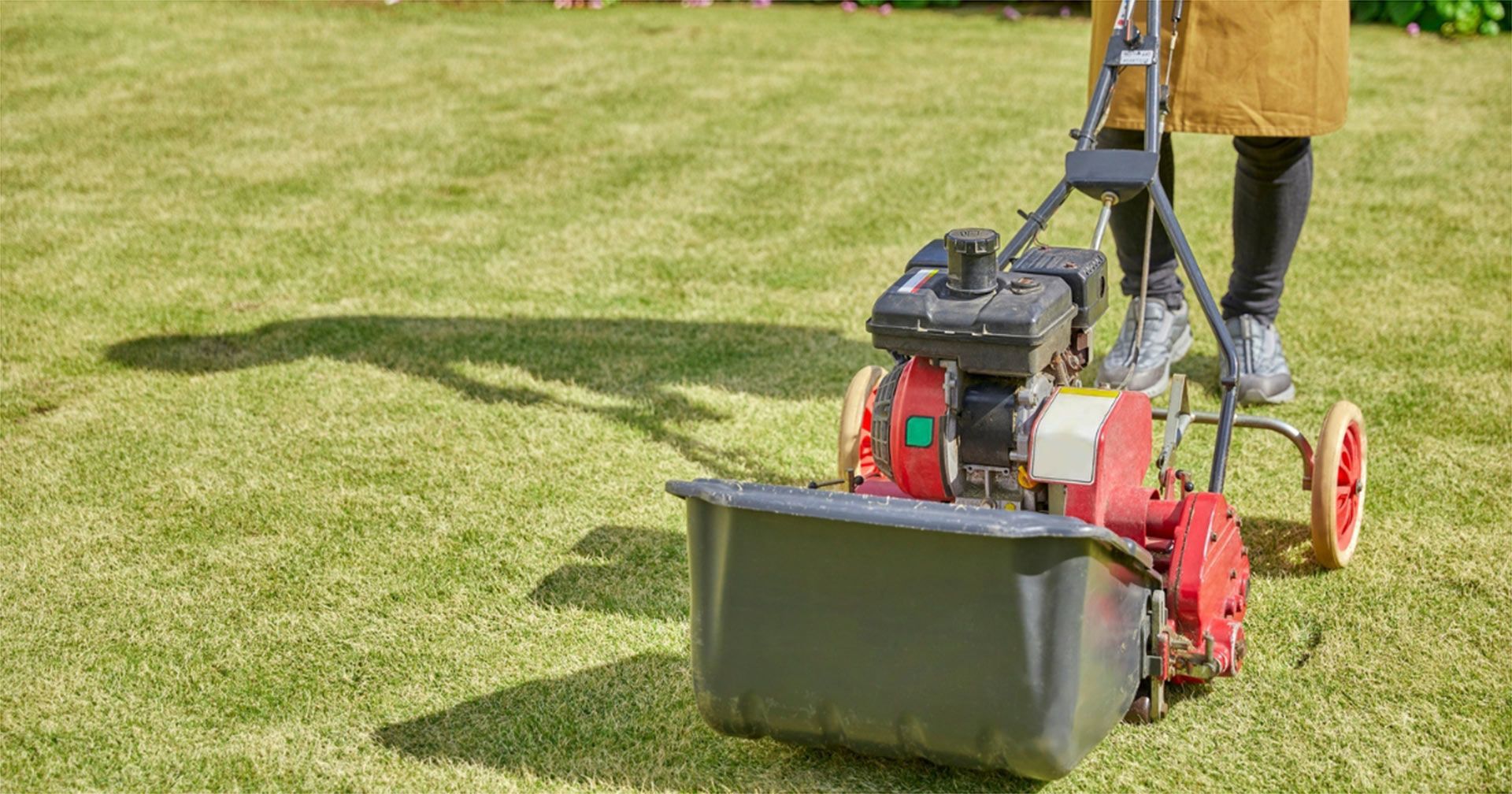 Landscape And Outdoor Maintenance Service In Peregian Springs
