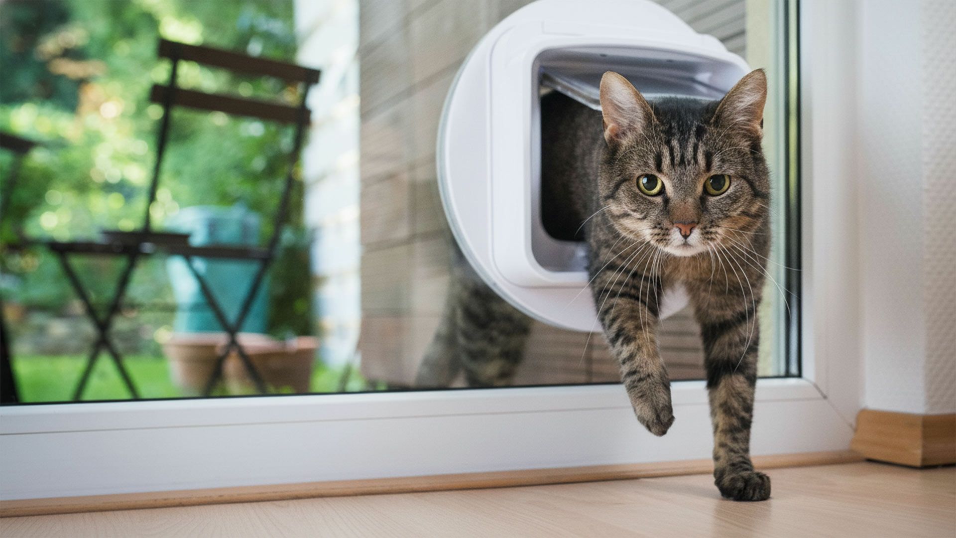 Pet Door Installation Mudjimba