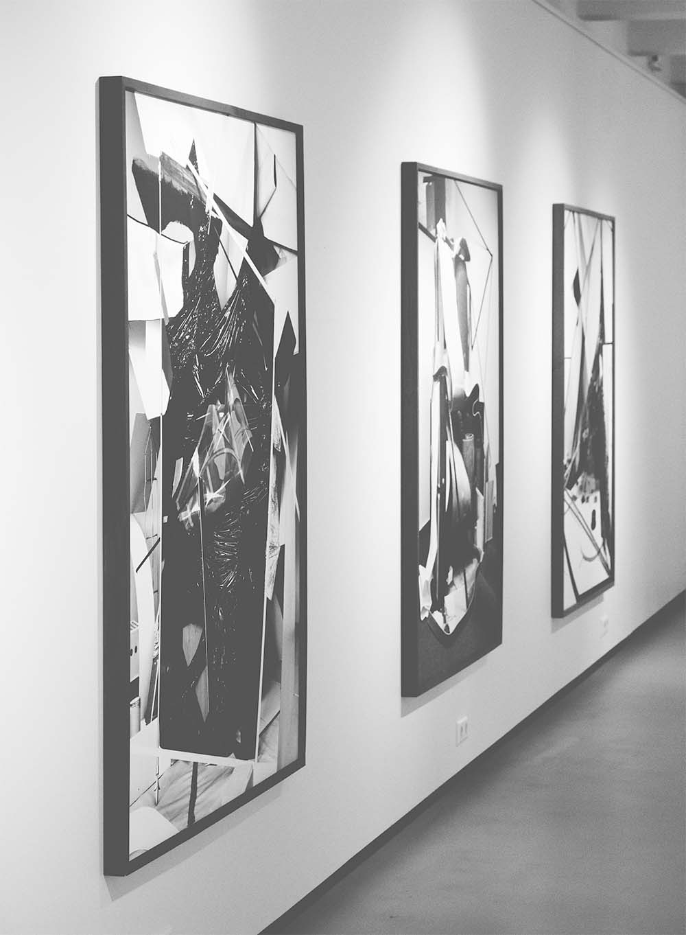 Pictures Hung In A Sunshine Coast Art Gallery By All Sorts Of Jobs