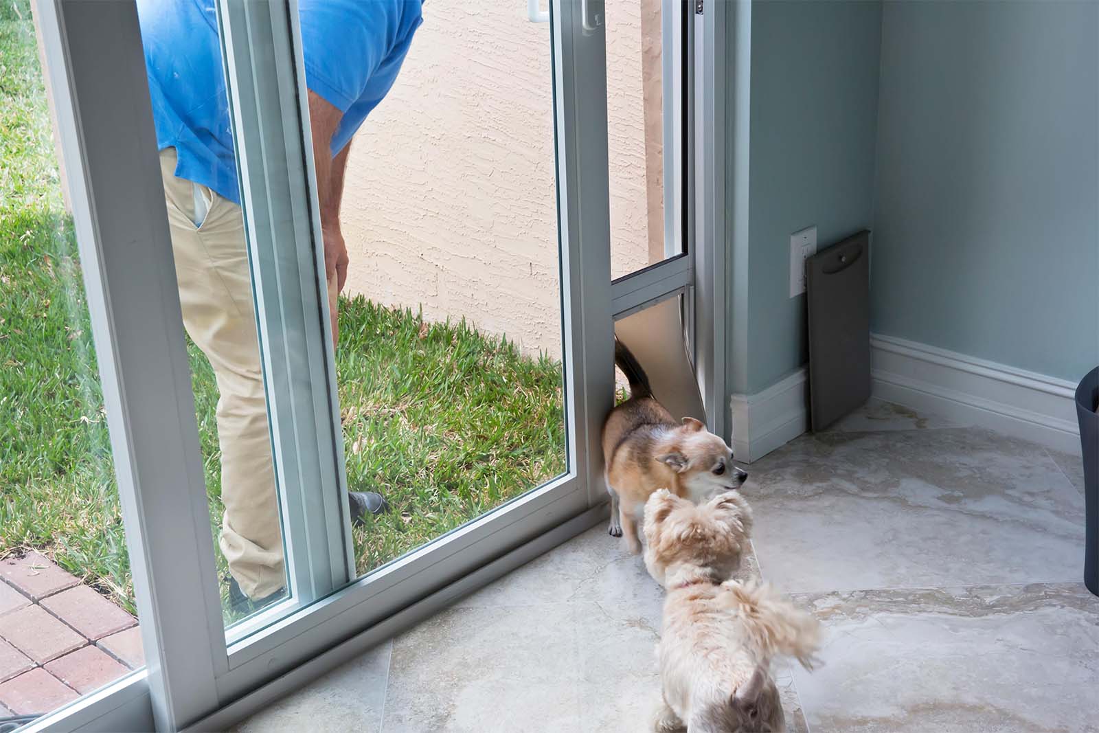 Testing The Pet Door After Installation