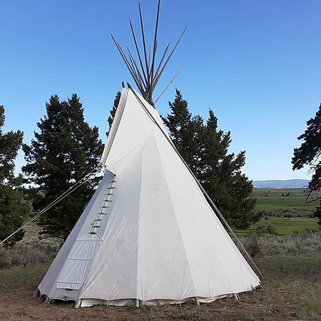 A white canvas teepee stands in a grassy field against a bright blue sky, with pine trees in the background.