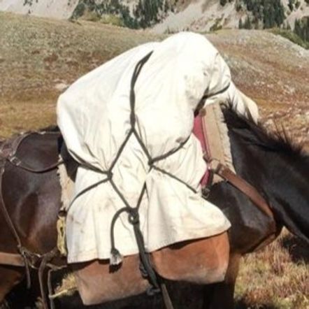 A dark horse stands in a mountainous landscape, carrying a large, white canvas pack secured with black ropes.