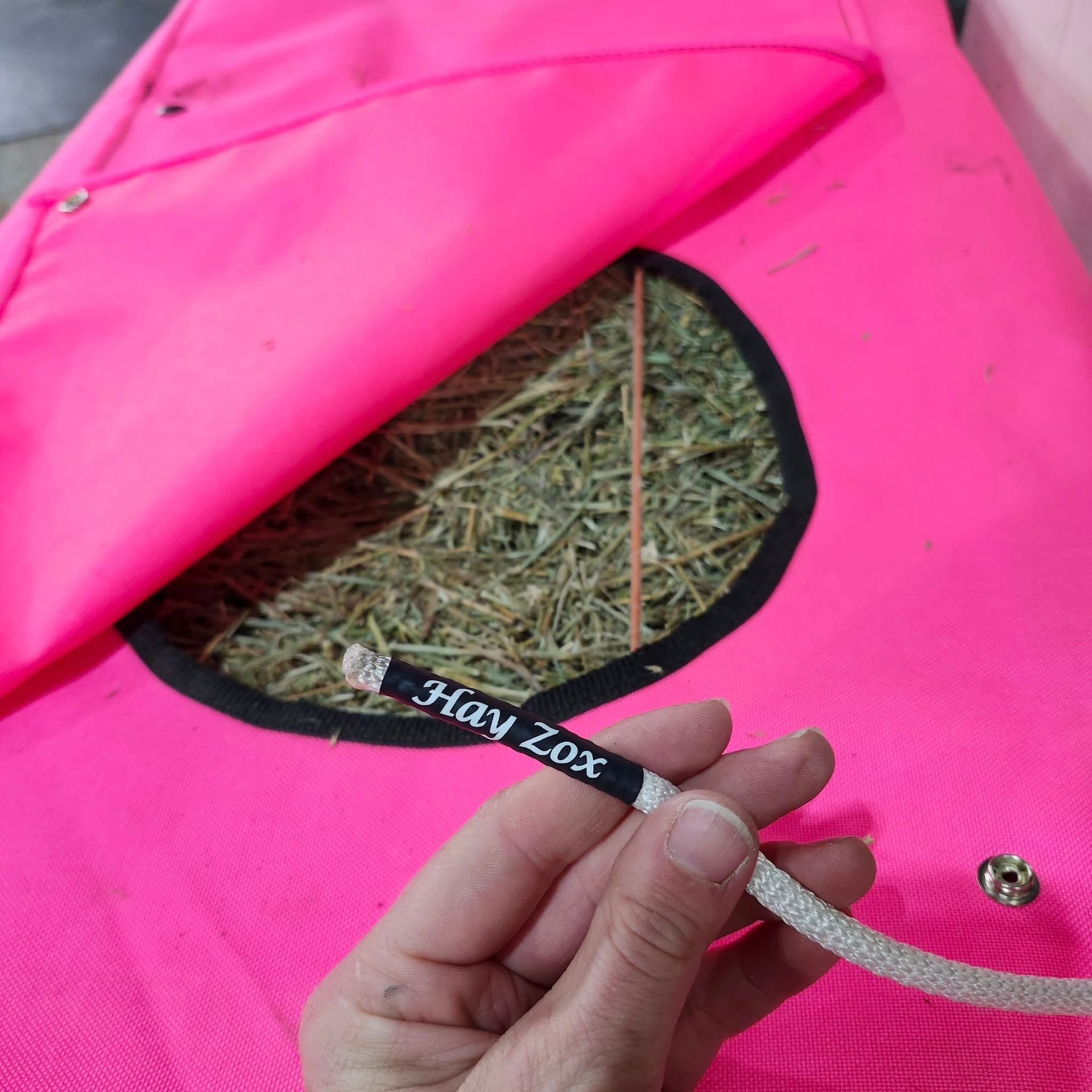 A hand holds a branded