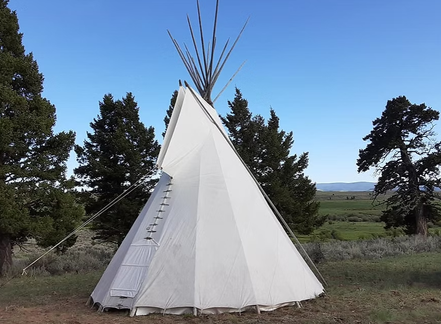 A white canvas teepee stands in a grassy field under a clear blue sky, framed by evergreen trees in the distance.