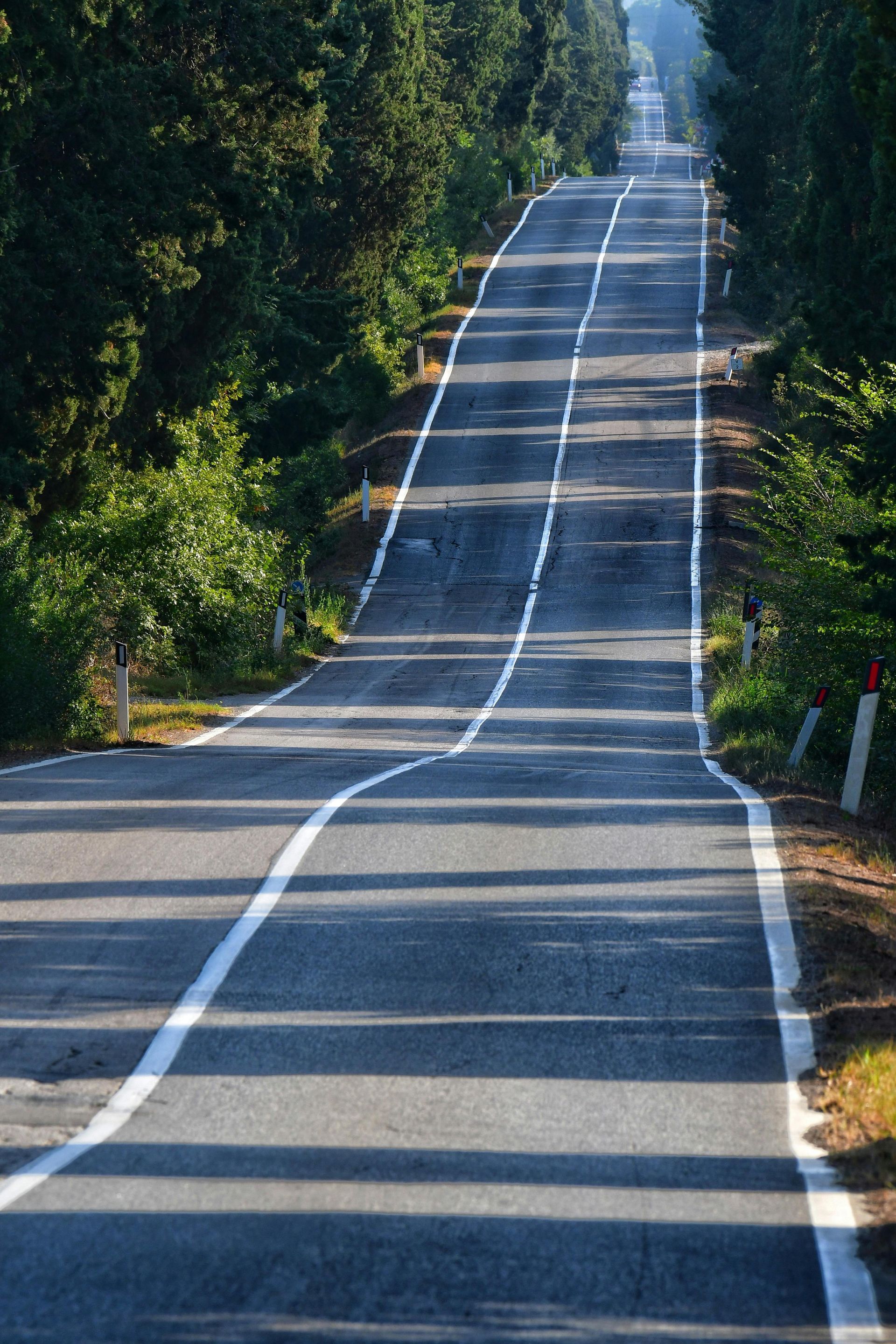Empty winding road through a tree-lined landscape with sunlight and long shadows