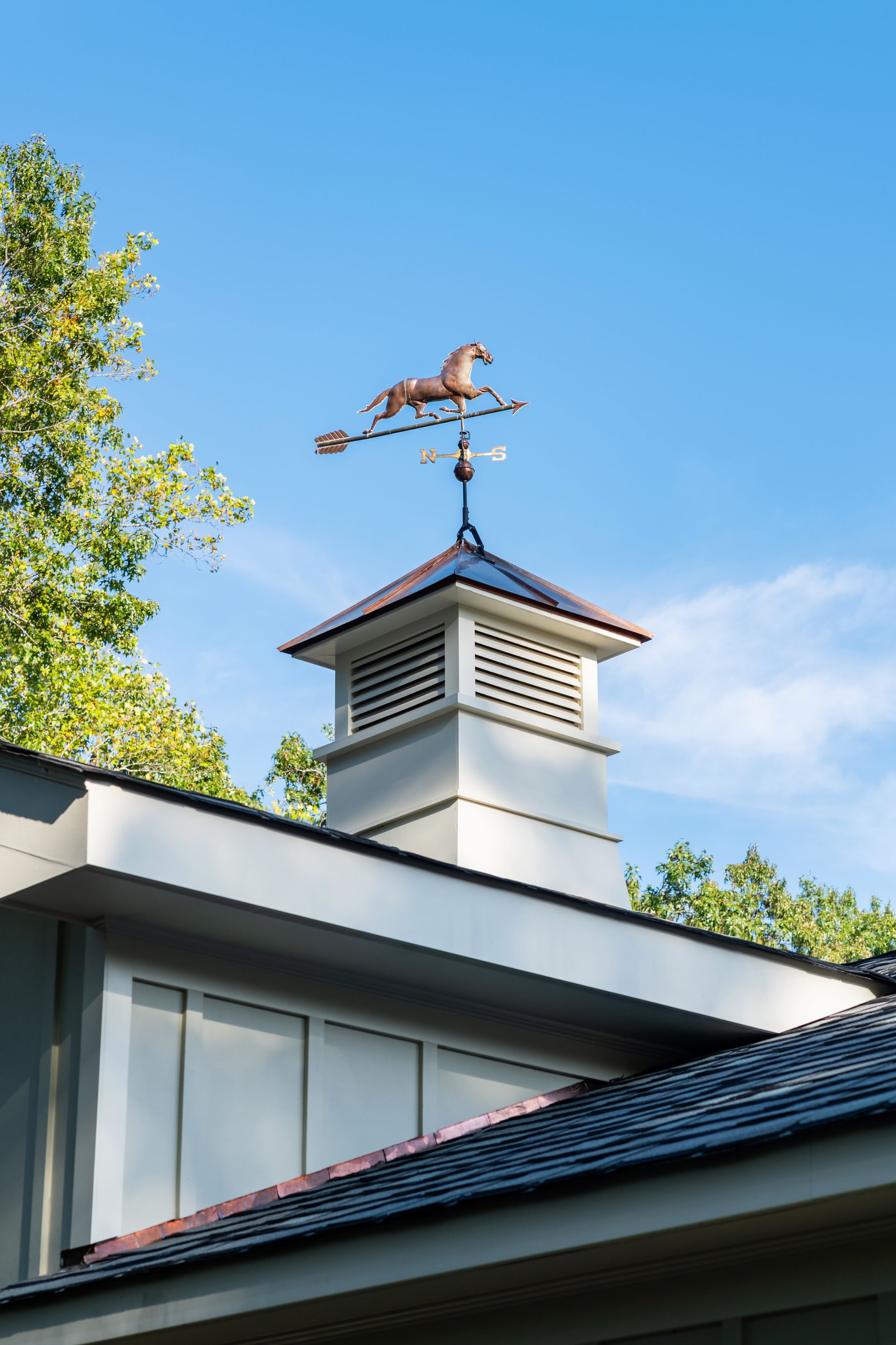 a weather vane with a horse on top of it