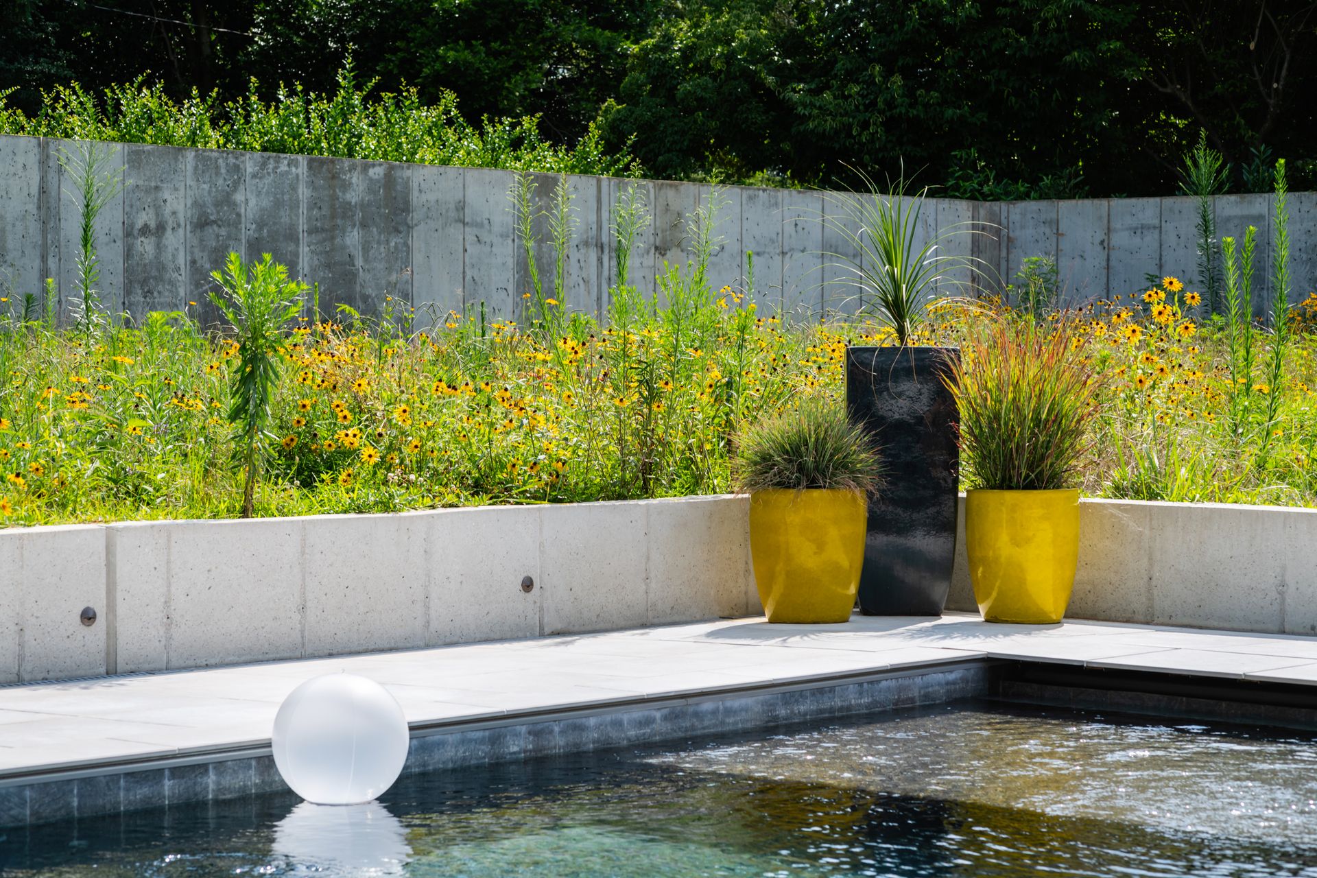 a swimming pool surrounded by yellow potted plants