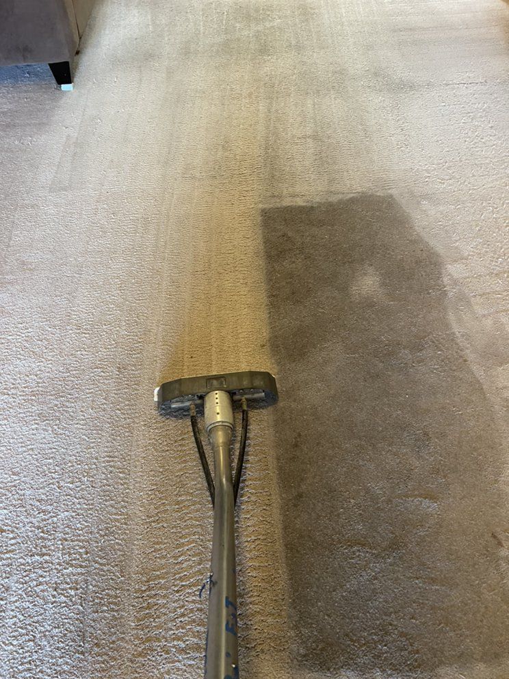 A vacuum cleaner is cleaning a carpet in a living room.