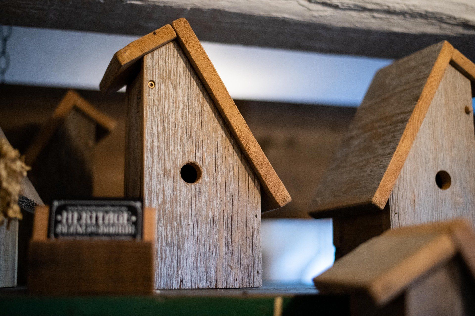 bird house, houses, wooden bird house upright