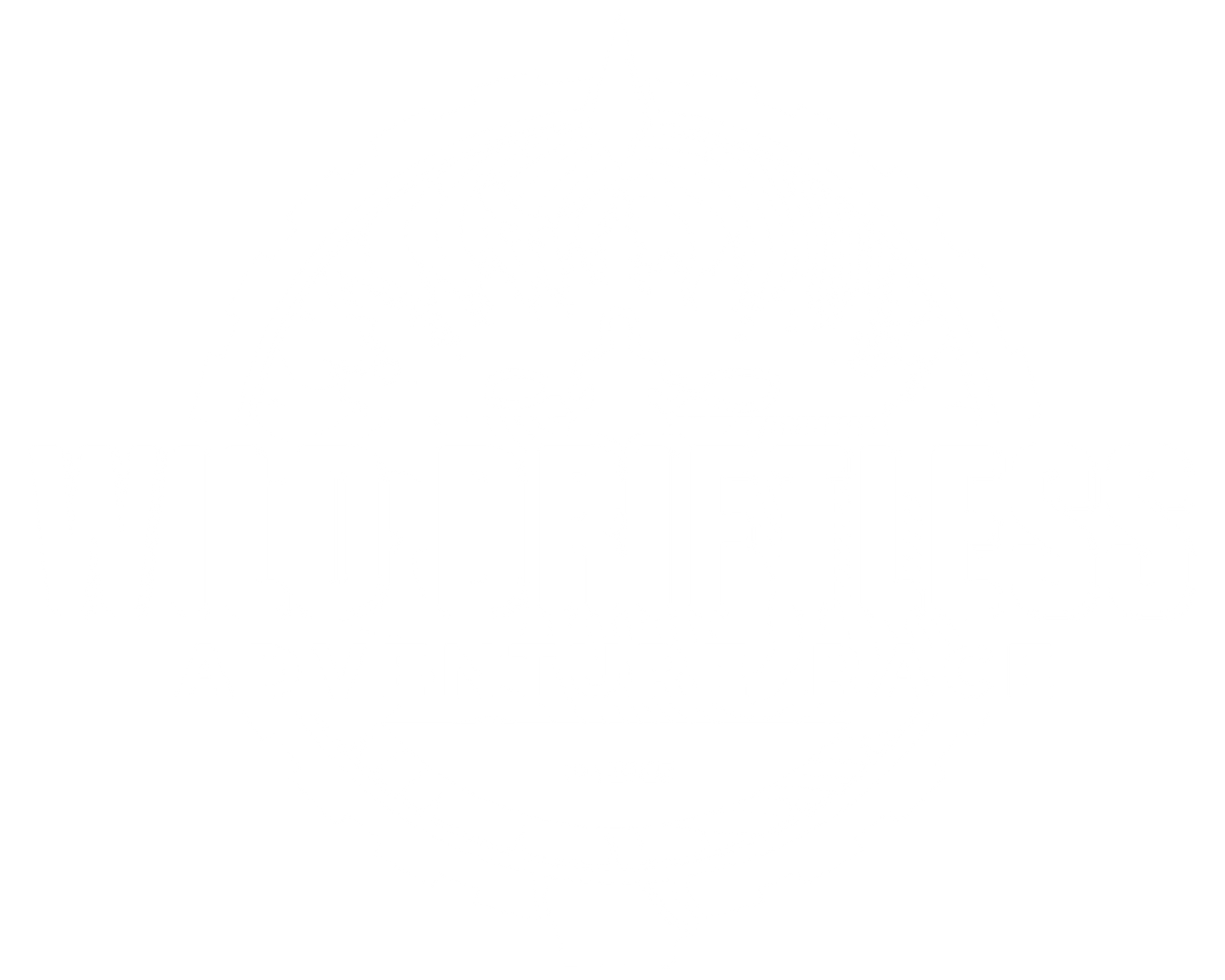 wild driftless logo