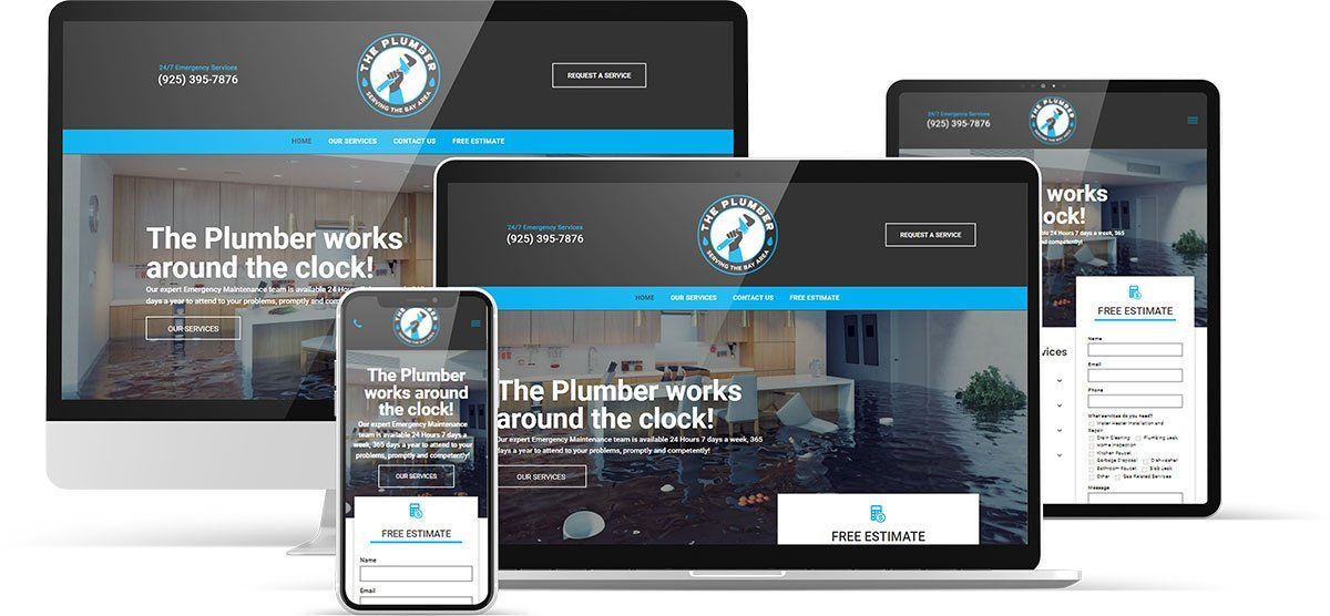 THE BAY AREA PLUMBER