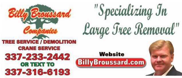 Billy Broussard Companies tree service ad with phone numbers, website, and “Specializing in Large Tree Removal” text