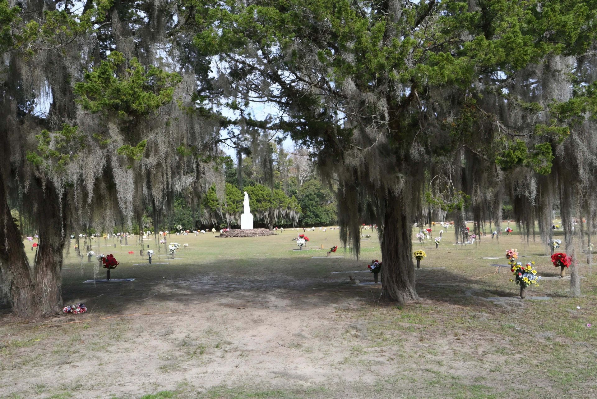 A cemetery with trees and spanish moss hanging from them
