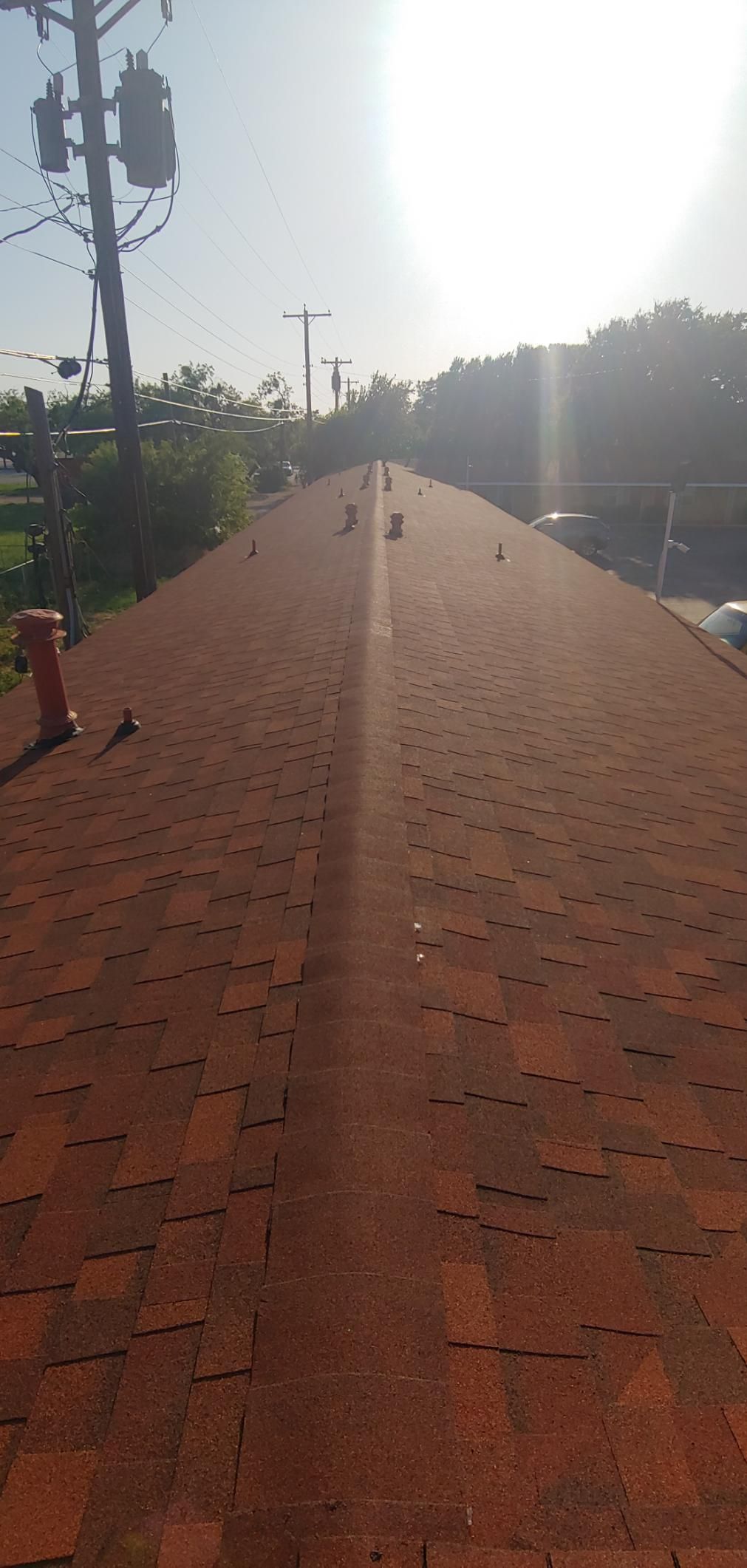 Long brick walkway or ramp under bright sun, bordered by trees and lamps.