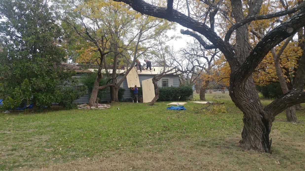 Backyard lawn with large trees and a house in the background